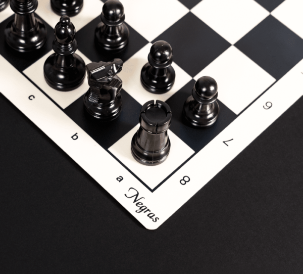 Juego de piezas Stauton nº 5/6 (Bolsa + Tupper) - Imagen 5
